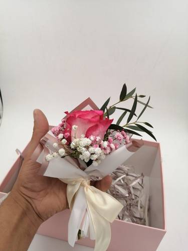 باقة الناعمة