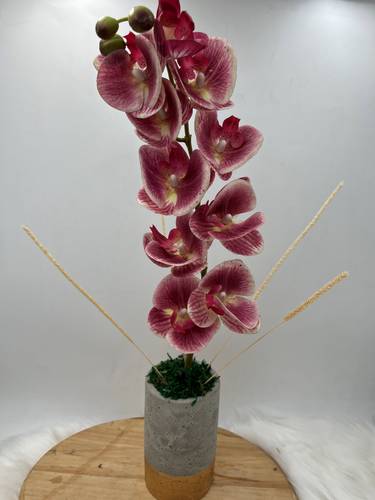 باقة اثراء 