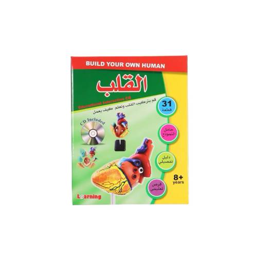 سلسلة التشريح - القلب
