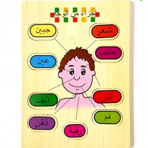 أجزاء من الوجه_ولد