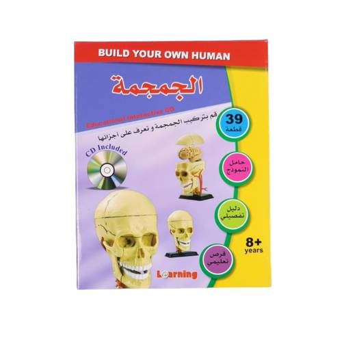 سلسلة التشريح - الجمجمة