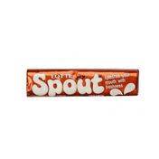 Spout Cinnamon