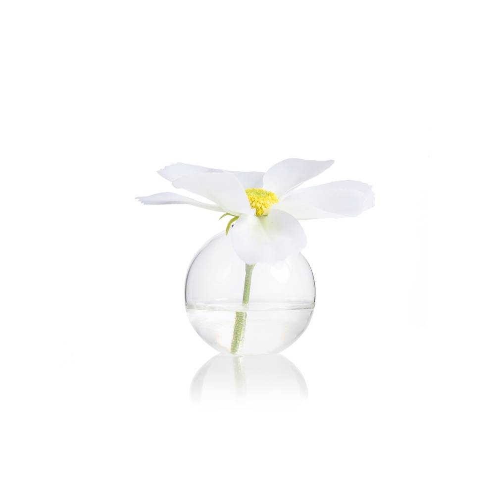   MINI CLEAR GLASS VASE BY DAREE HOME  