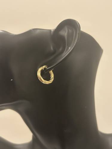 Ring earring 