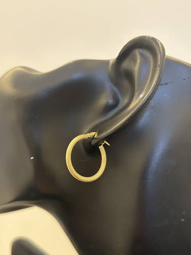 Ring earring 