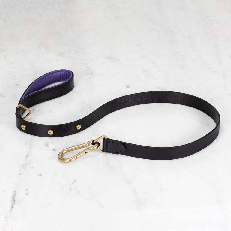 B&P dog leash