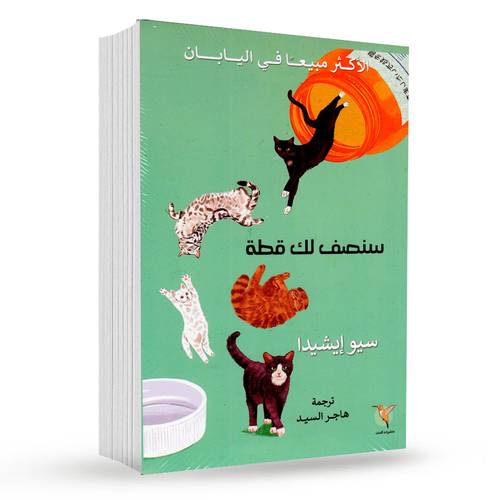 سنصف لك قطة : سيو إيشيدا