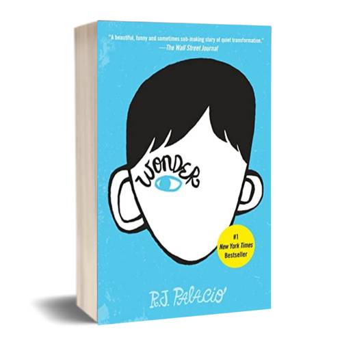Wonder Paperback –: R J Palacio
