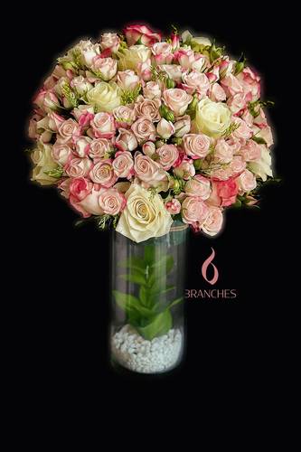 098 فازا أغصان
