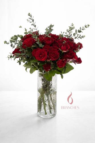 212 The splendor of love