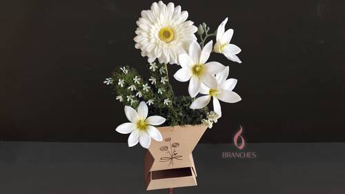 105 فازة كرتونيه