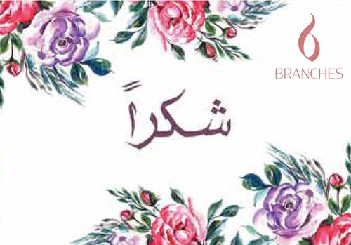 شكرا 2