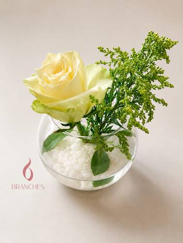 257 روزا الصغيرة