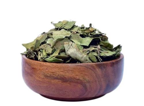 Sidr leaves of the alharamayn