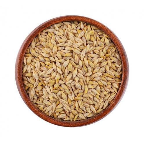 Half a kilo of barley