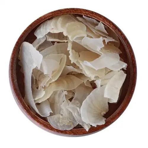 عشبة كثيرا 20 جرام