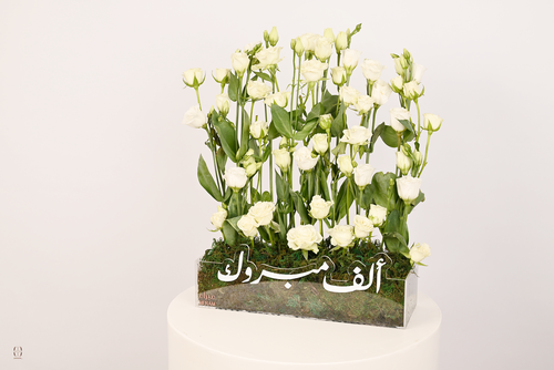تقديمة ألف مبروك