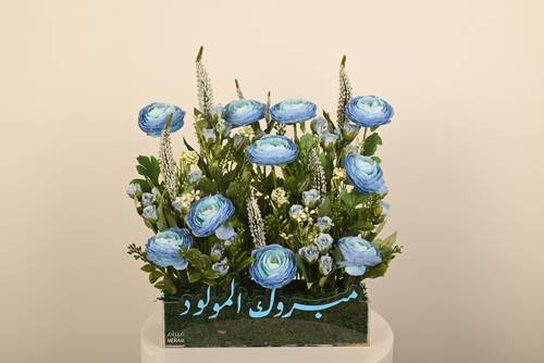 تقديمة مبروك المولود الصناعية